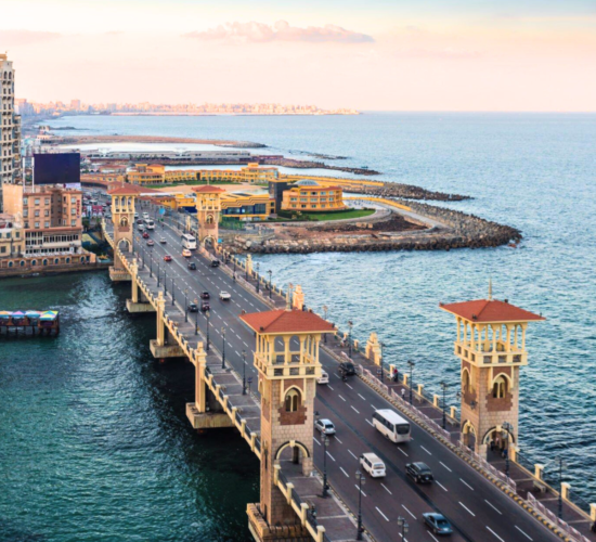 stanly-in-alexandria