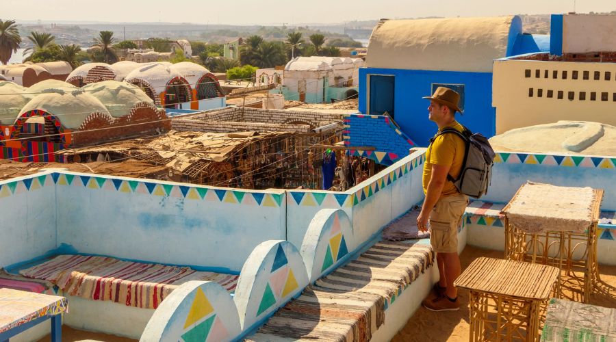 Aswan and Nubian Village Day Tour