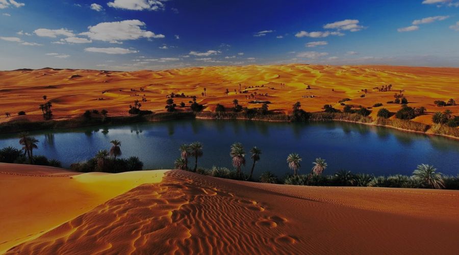 Fayoum Oasis Tour From Cairo